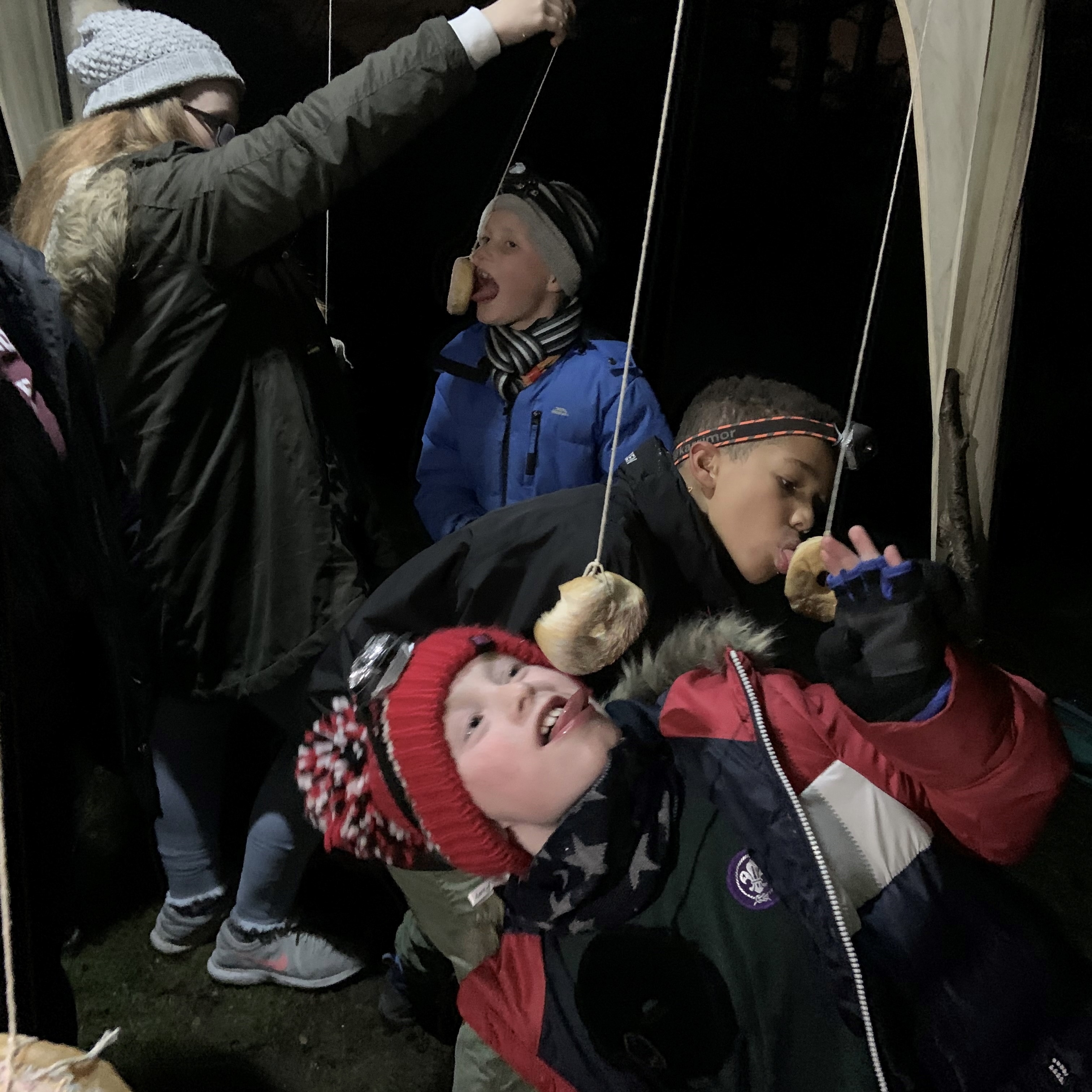 District Cub Night Hike